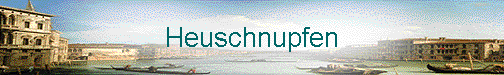  Heuschnupfen 